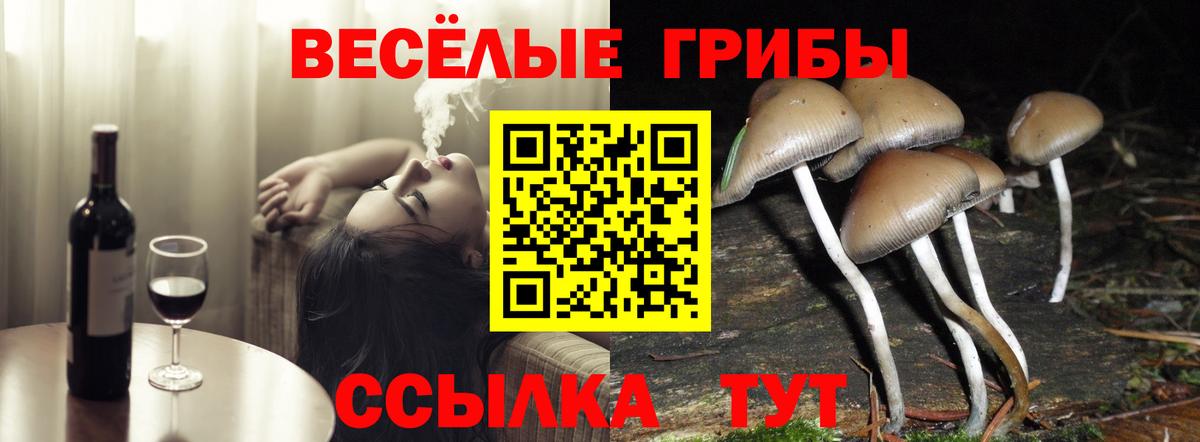 Псилоцибиновые грибы MAGIC MUSHROOMS  Дзержинск 